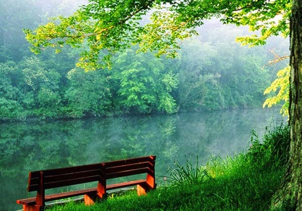 Munnar Thekkady 3  day tour from Vellore